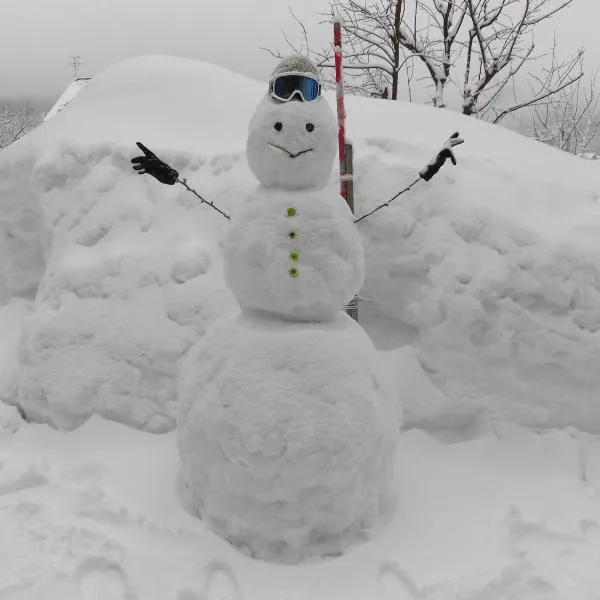 Morishigesou, hôtel à Myōkō