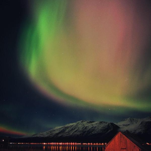 Lyngen ski- og fiskecamp