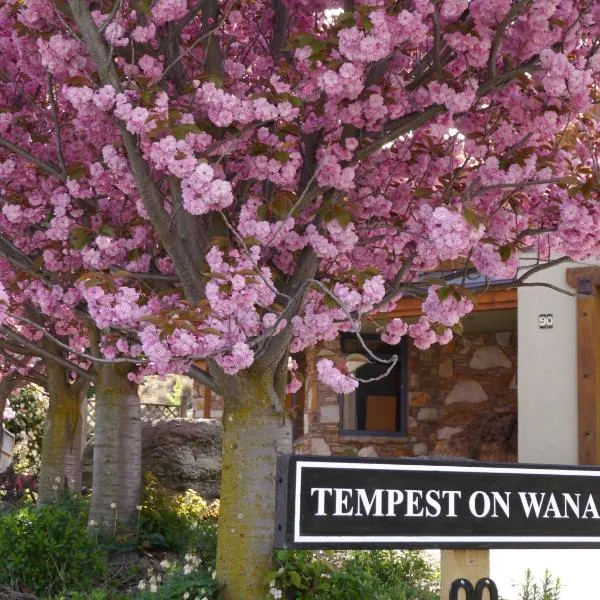 Tempest on Wanaka, hotel in Wanaka
