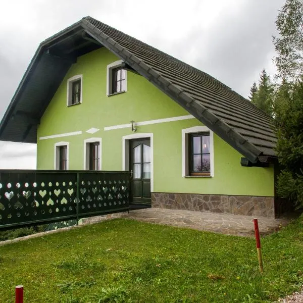 Apartment Sara, hôtel à Vitanje