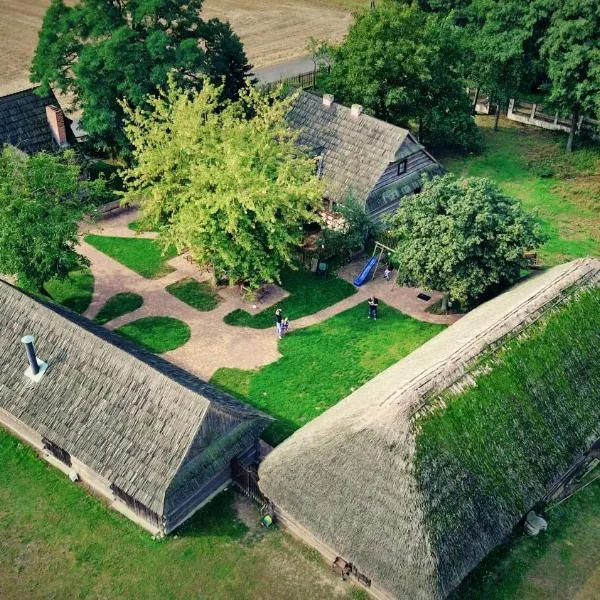 Gniazdo w Felicjanowie, Hotel in Uniejów