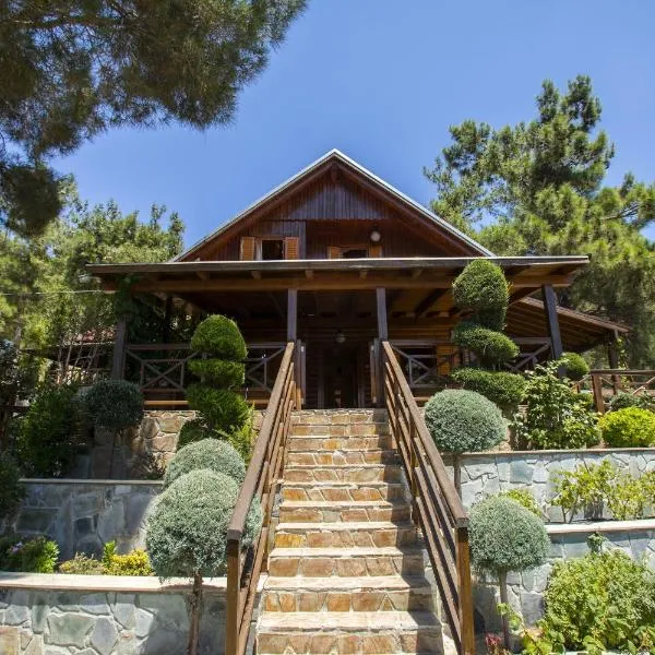 Ricky Chalet Near Troodos, hotell sihtkohas Spilia