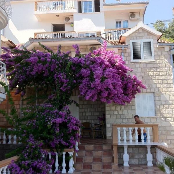 Apartmani Kalinic