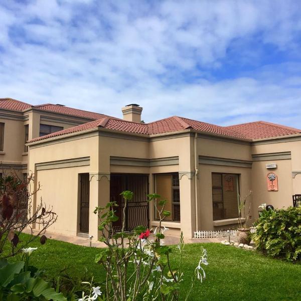 House Hibiscus