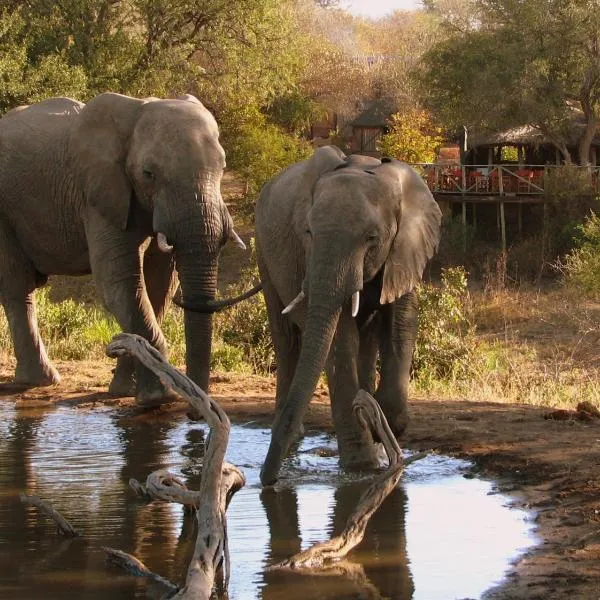 Umlani Bushcamp, ξενοδοχείο σε Timbavati Game Reserve