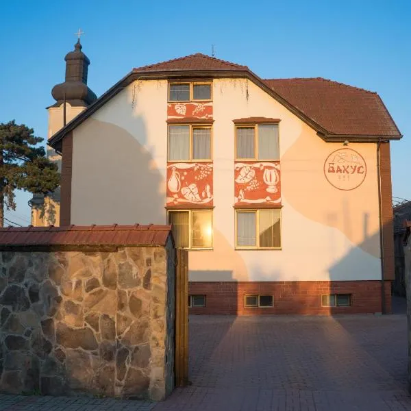 Hotel Complex Bahus, hotel in Uzhhorod