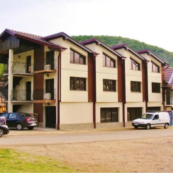 Pensiunea Mirela Peștera Urșilor, ξενοδοχείο σε Chişcău