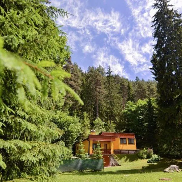 Chata Monika Demänovská Dolina Jasná, hotel v Demänovské dolině