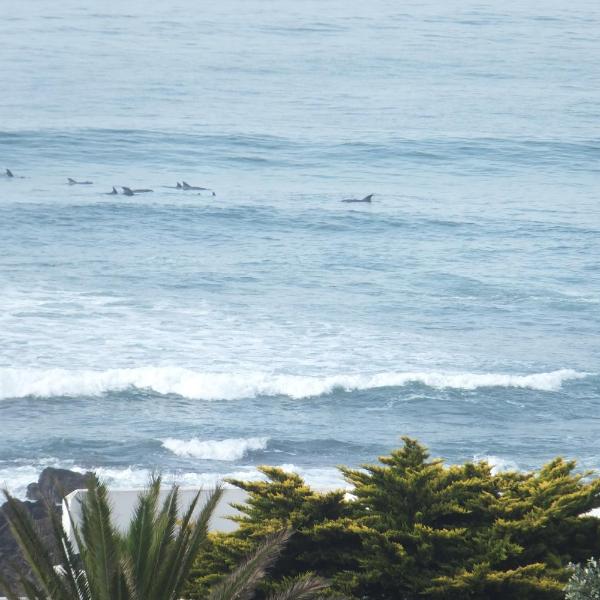 Ocean Tides