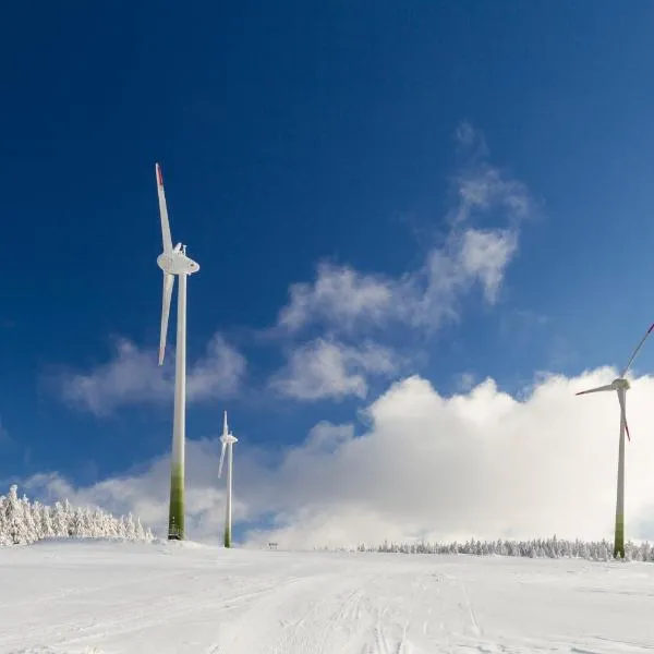 Studio Krušné Hory Klínovec, hotel in Loučná pod Klínovcem