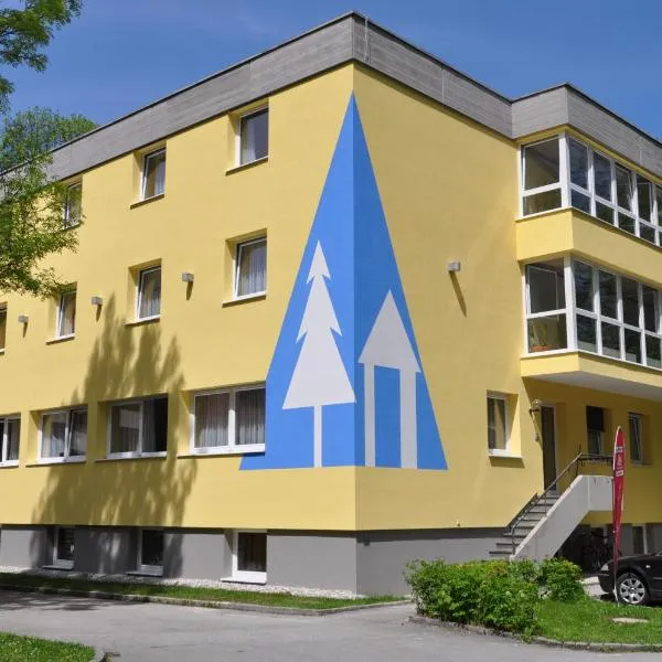 Eduard-Heinrich-Haus, Hostel, hotel in Salzburg