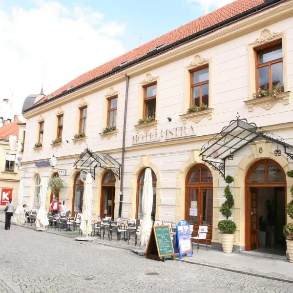 Hotel Istra, hotel in Varaždin