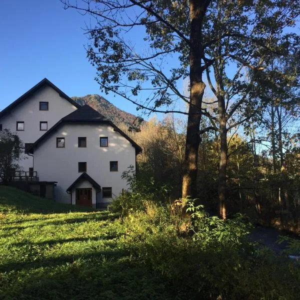 Youth Hostel Nika, hotel en Kranjska Gora