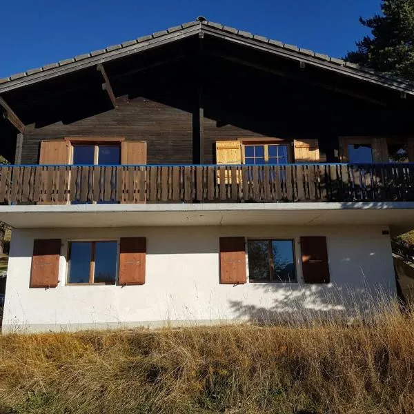 Chalet Bergmann, hotel en Bürchen