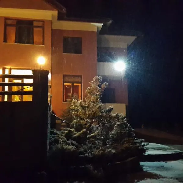 Vasilitsa rooms，斯米克希的飯店