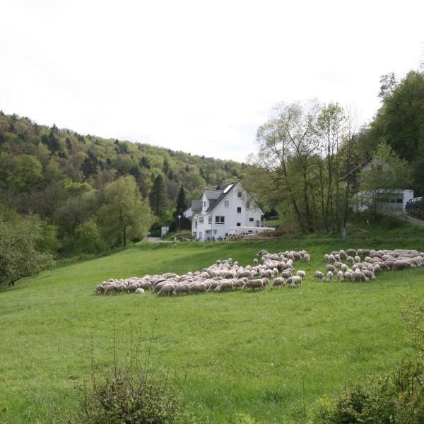 B&B Arlesbrunnen