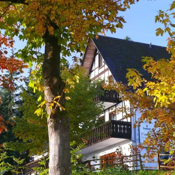 Pension Stiegelmeier, hotel v destinaci Winterberg