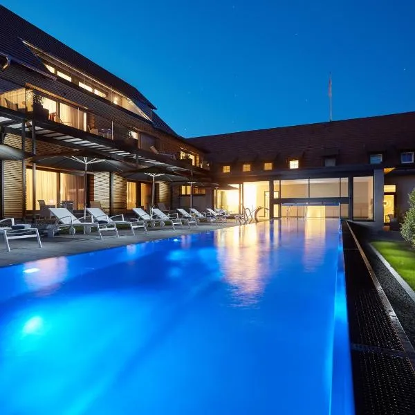 Schloss Reinach, hotel ve Freiburgu