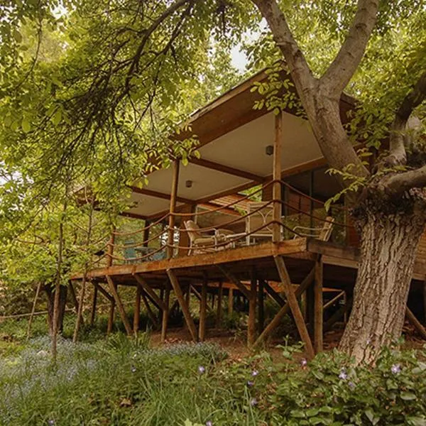 Cabañas Nogalia、サン・アルフォンソのホテル