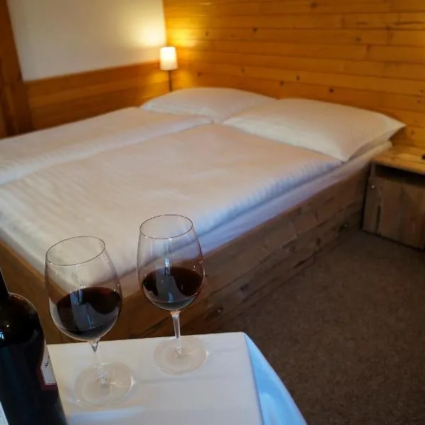 Penzion Čistá, hotel v Černém Dole