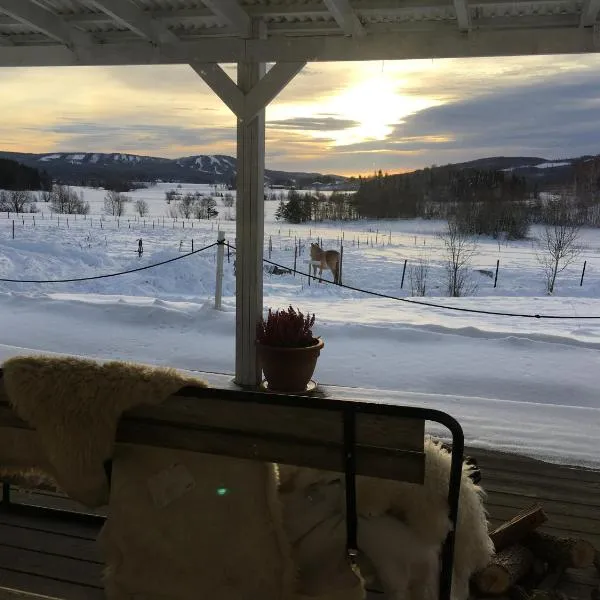 Utsikten, Hotel in Borlänge