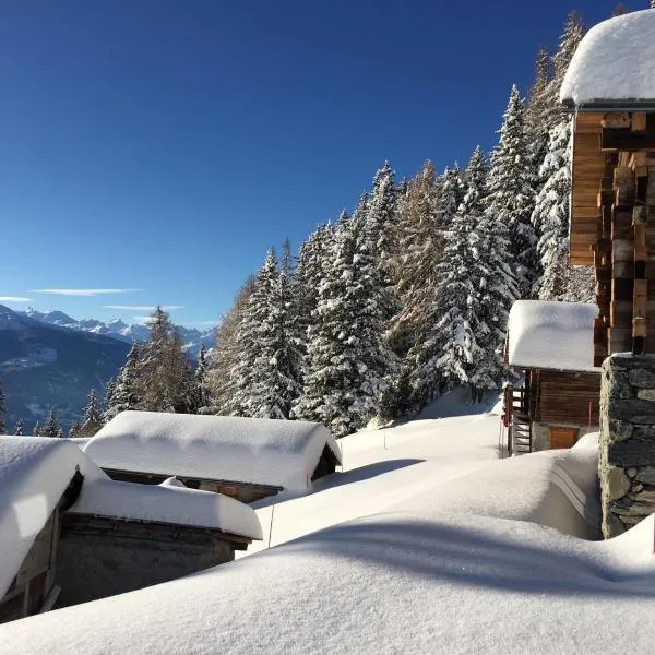Le Mayen de Colombire, hotel em Crans-Montana