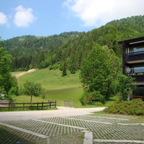 Oostenrijk-walchsee-Hasewinkel, hotel v destinaci Walchsee