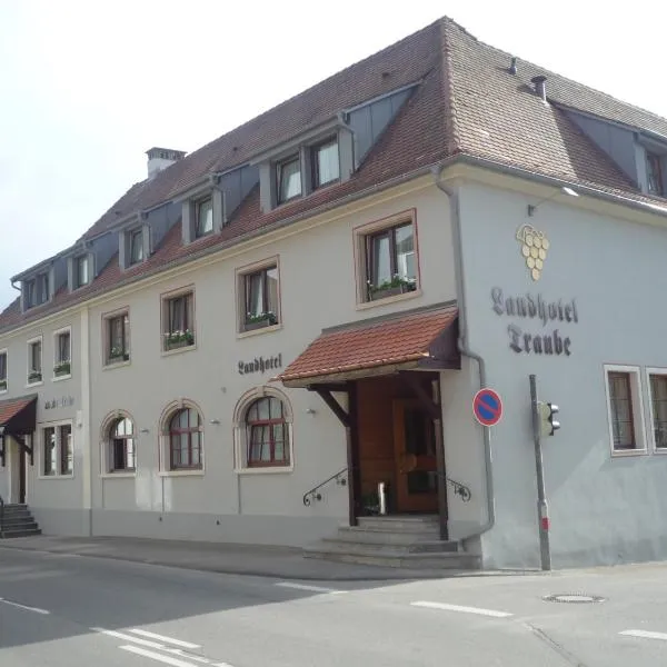 Landhotel Traube, hotel v destinaci Konstanz