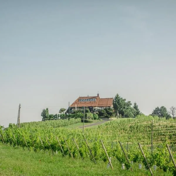 Taverna & Wine Jeruzalem, hotel en Ivanjkovci