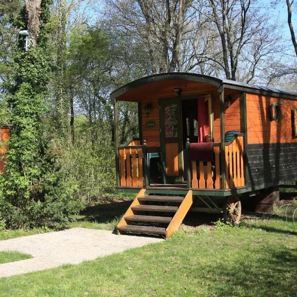 Roulottes de Bois le roi, hotel in Bois-le-Roi
