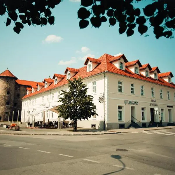 Heritage Hotel Frankopan, hotel in Ogulin