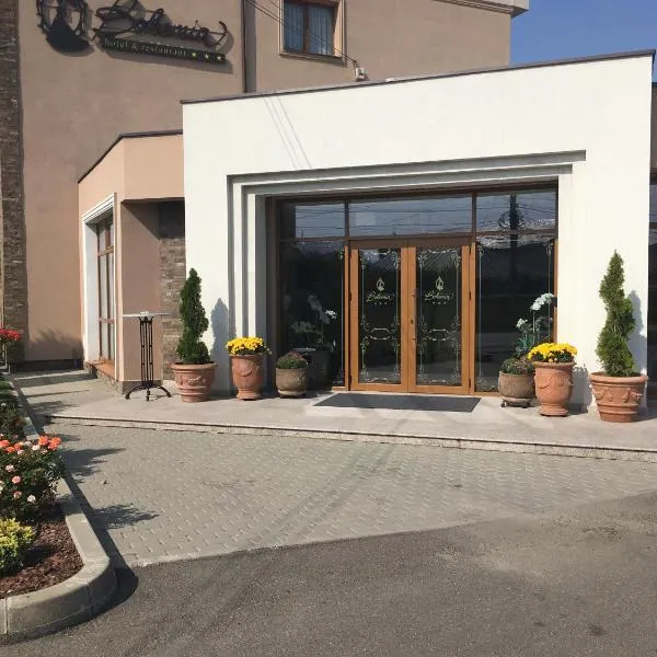 Hotel Bohemia, hotel v destinaci Bacău