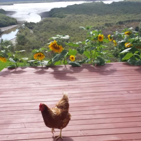 Taranaki, hotell sihtkohas Waihaha