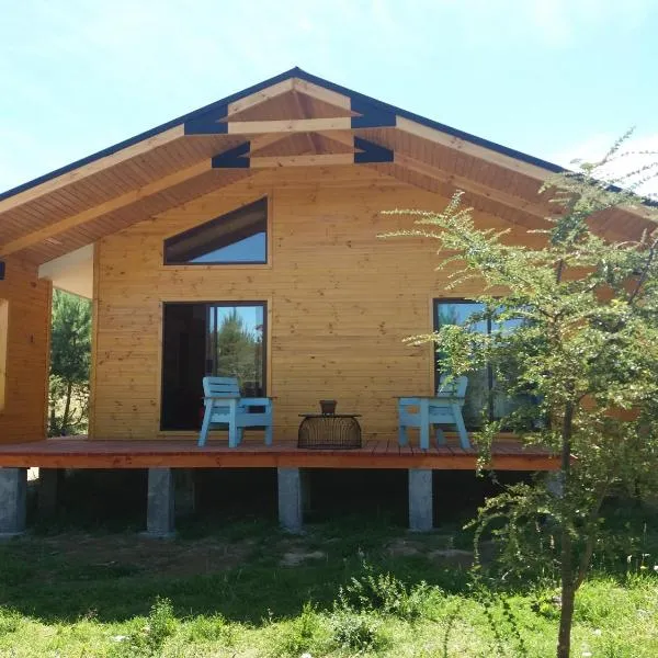 Cabañas Rincon del Sur, hôtel à Cochrane