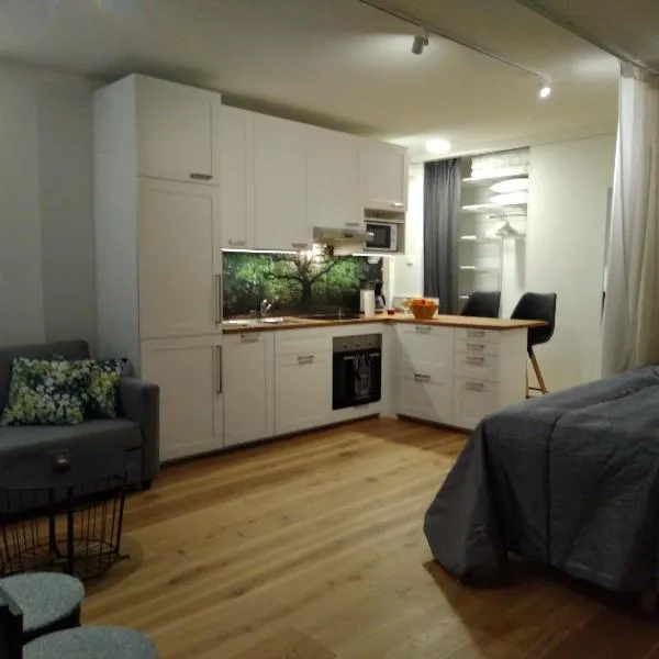 Studiohuoneisto Lohjan keskusta, Hotel in Lohja