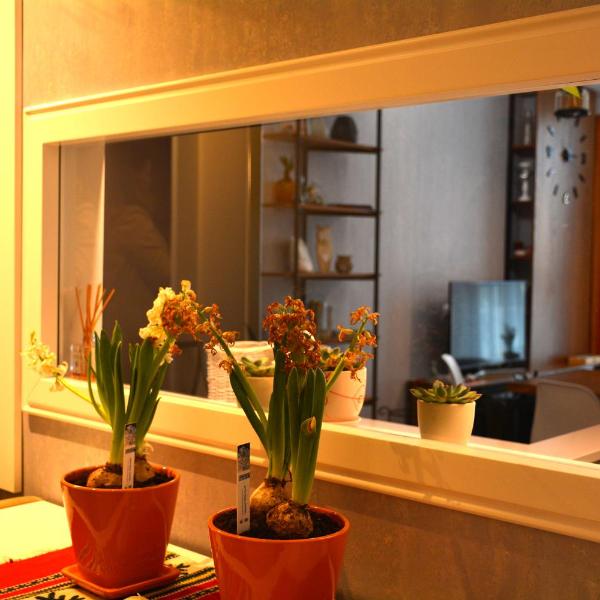 Central Luxury Apartment, Tirana