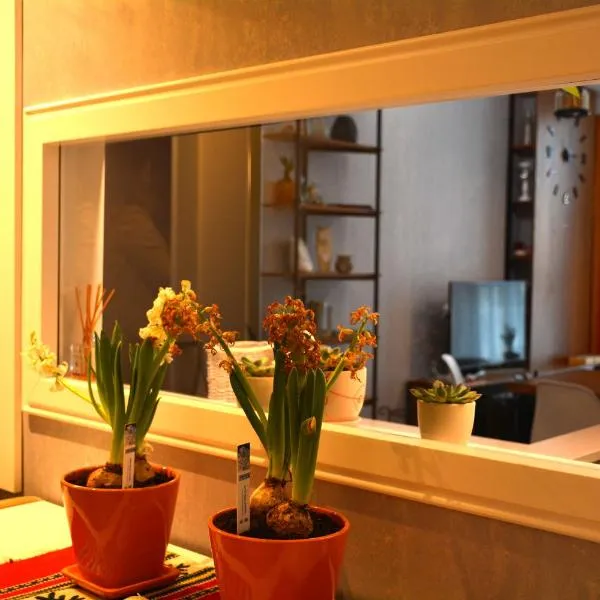 Central Luxury Apartment, ξενοδοχείο στα Τίρανα