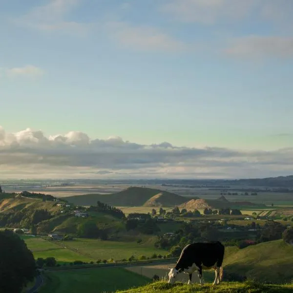 The Grange Lodge, Hotel in Napier