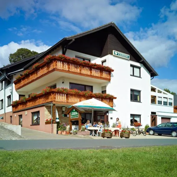 Hotel Garni Assion, hotel en Birgel