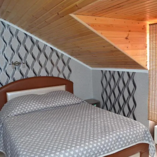 Villa Ana, hotel i Rezina