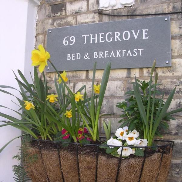 69TheGrove