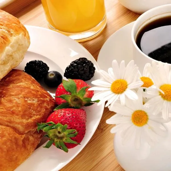 Caral, khách sạn ở Comrat