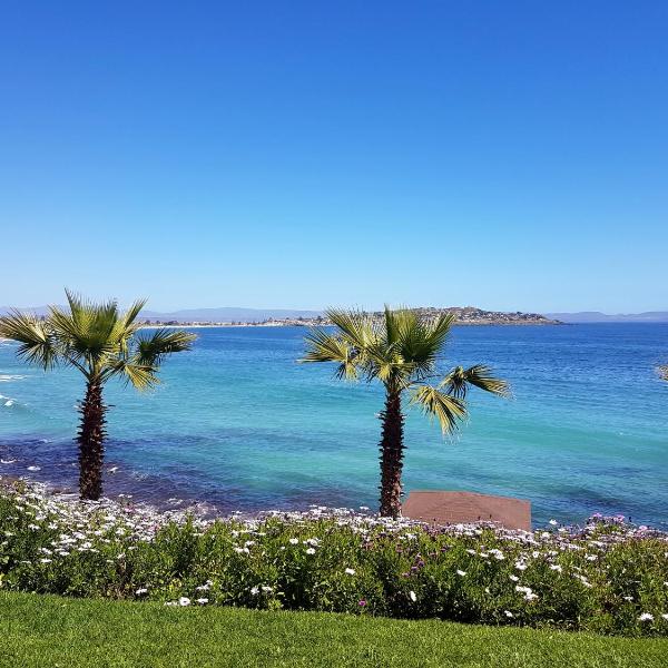 Puerto Velero/ Primera Linea