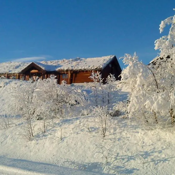 Hakkesetstølen Hytter, hôtel à Geilo
