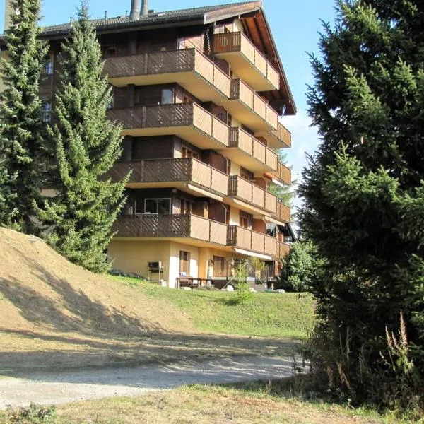 bel-air 21 u.23, hotel v destinaci Bellwald