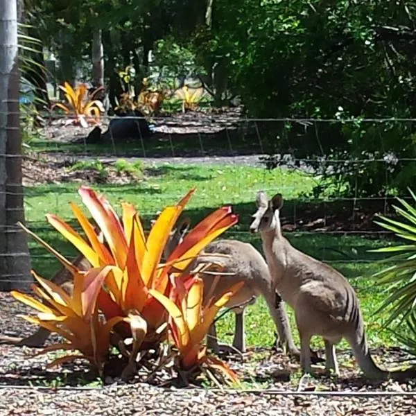 Bluegrass BnB, hôtel à Bundaberg
