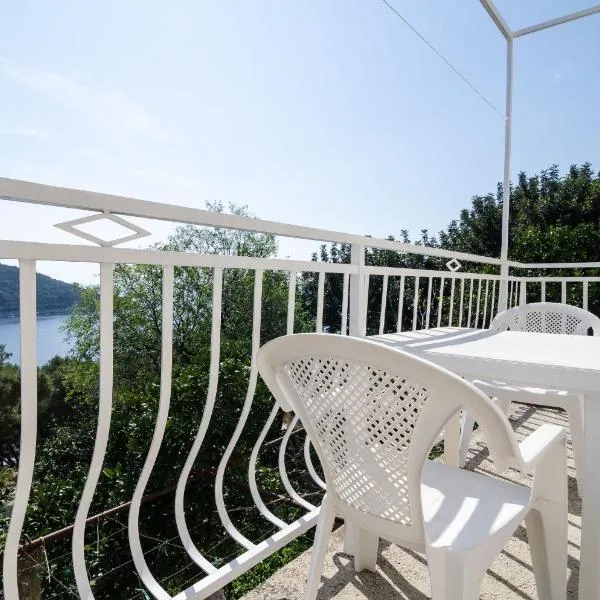 Guest House Kralj、サプルナラのホテル