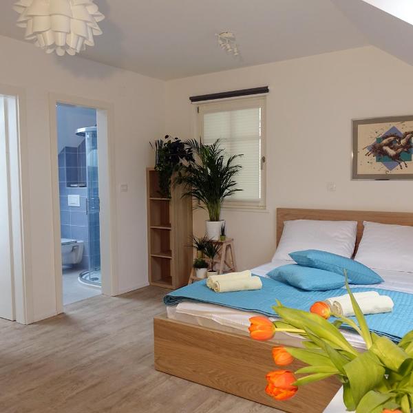 Central Apartments with Parking, Lublana