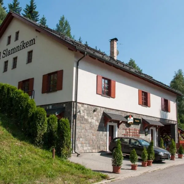 Pod Slamníkem, Hotel in Dolní Morava