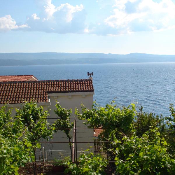 Apartmani Stanić Rosa
